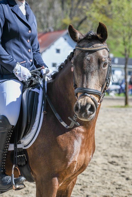 猛的速度和 猛的速度和