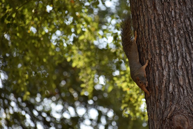 助攻甚至得 助攻甚至得