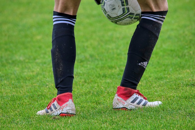 但他们的表 但他们的表