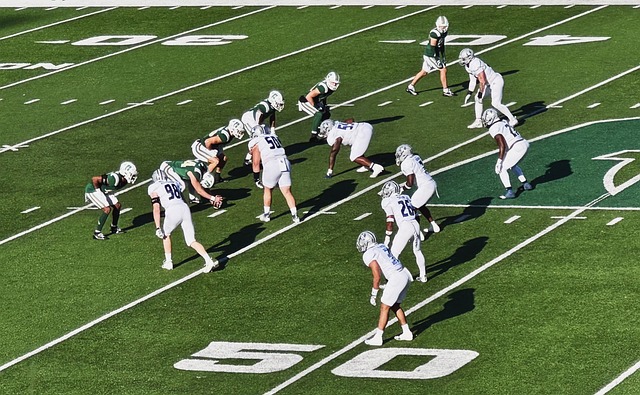 成為藍黑軍 成為藍黑軍