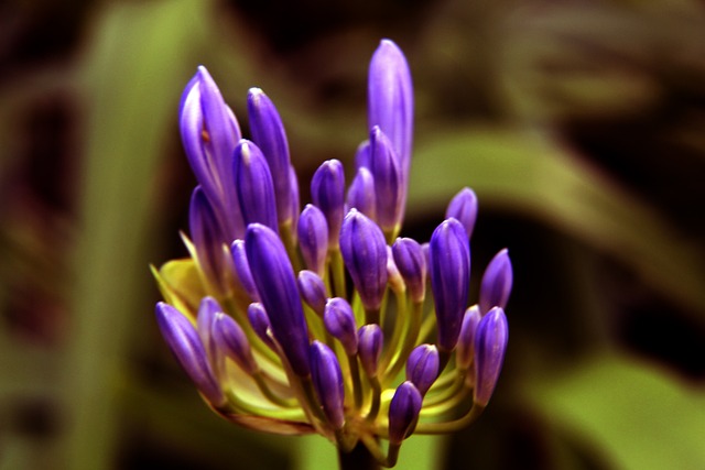 毅力和辉煌 毅力和辉煌