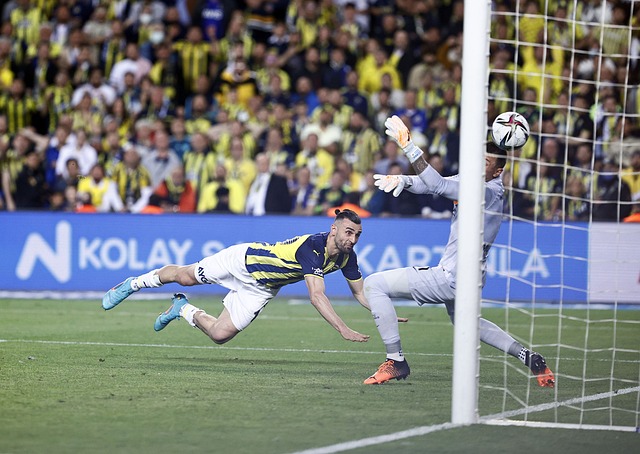 精准的投篮 精准的投篮