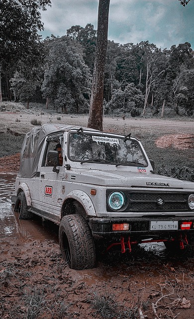 术和比赛经 术和比赛经