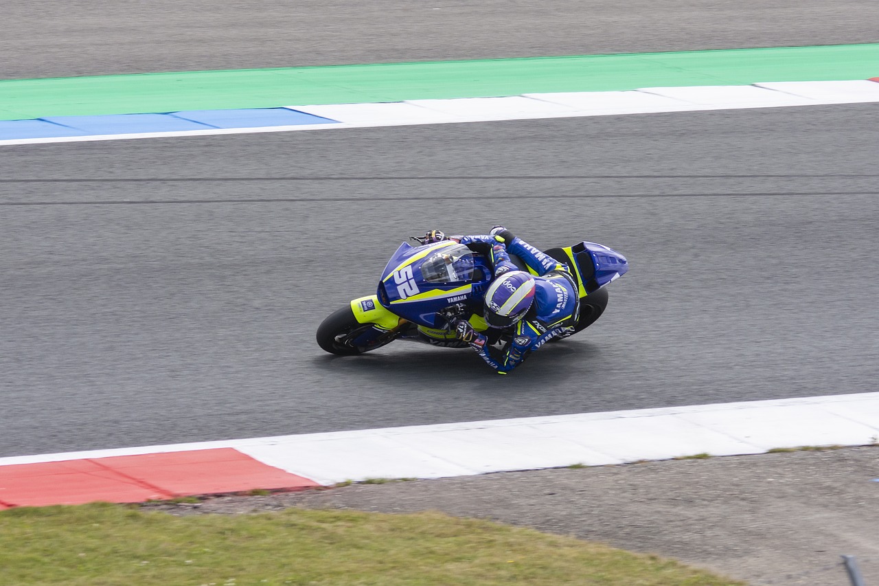 应和提升自 应和提升自